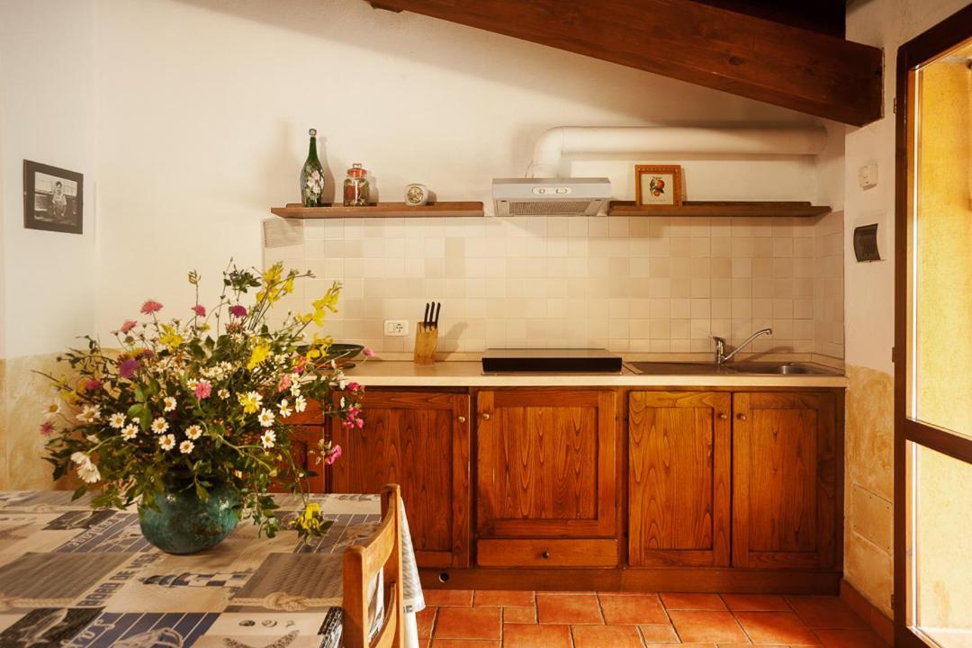 Agriturismo Podere Mulinaccio Ribolla Eksteriør bilde